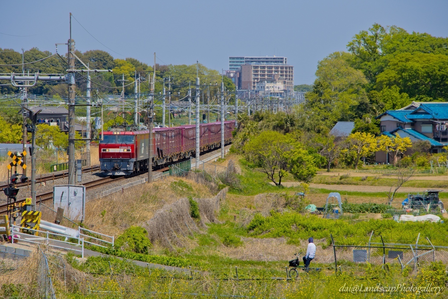 新緑の季節の東北本線貨物列車風景