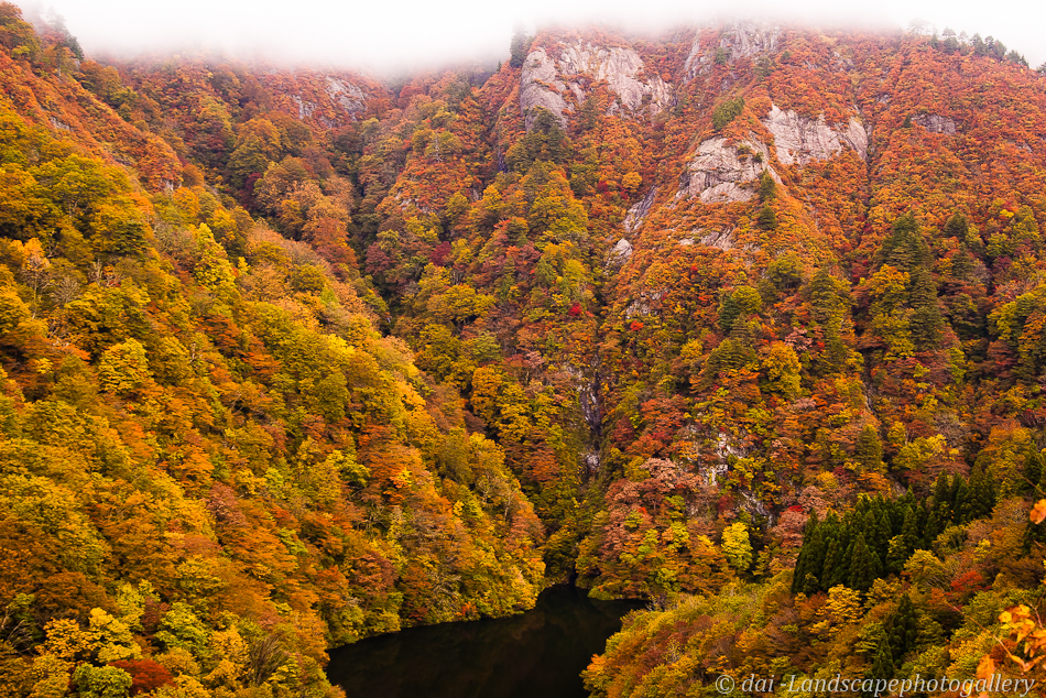 朝日スーパー林道沿いの紅葉風景@2009年