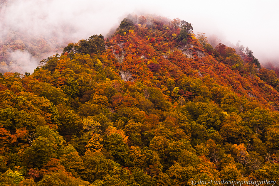 朝日スーパー林道沿いの紅葉風景@2009年