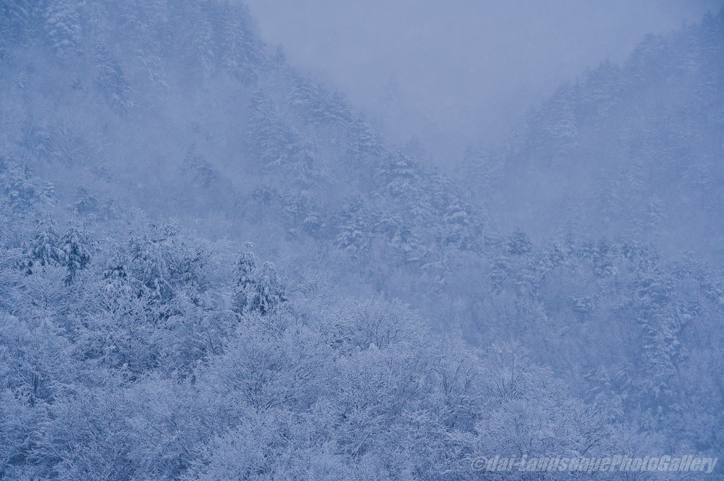雪景色