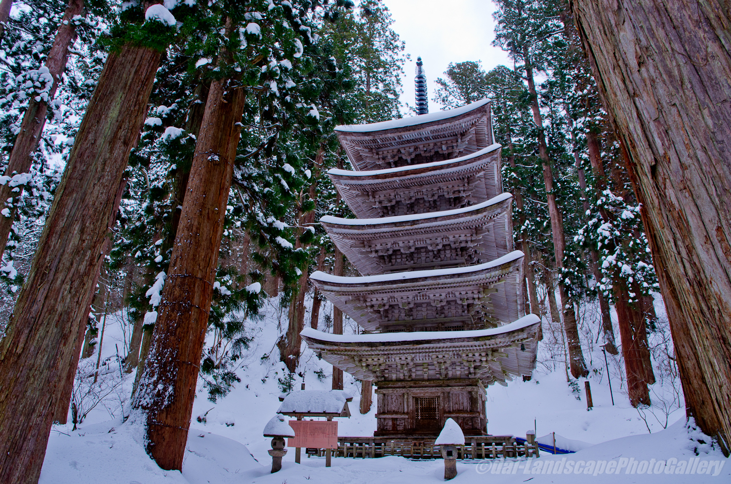 冬の羽黒山五重塔