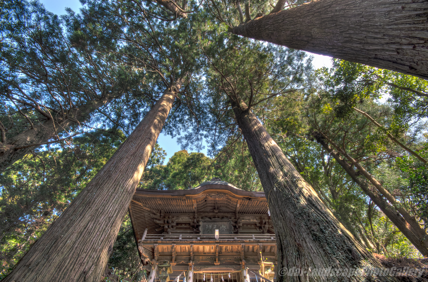東金砂神社【HDRi】