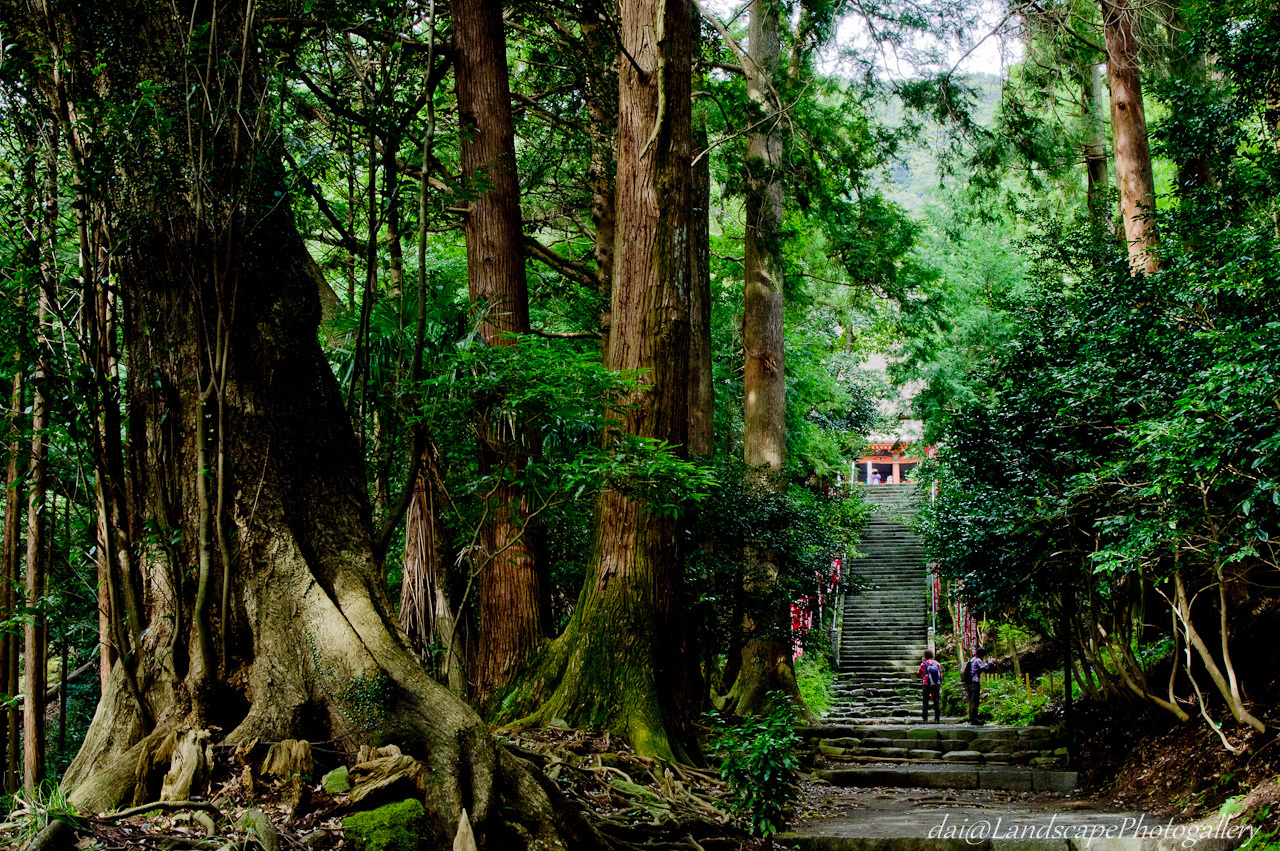 日向薬師参道・山門