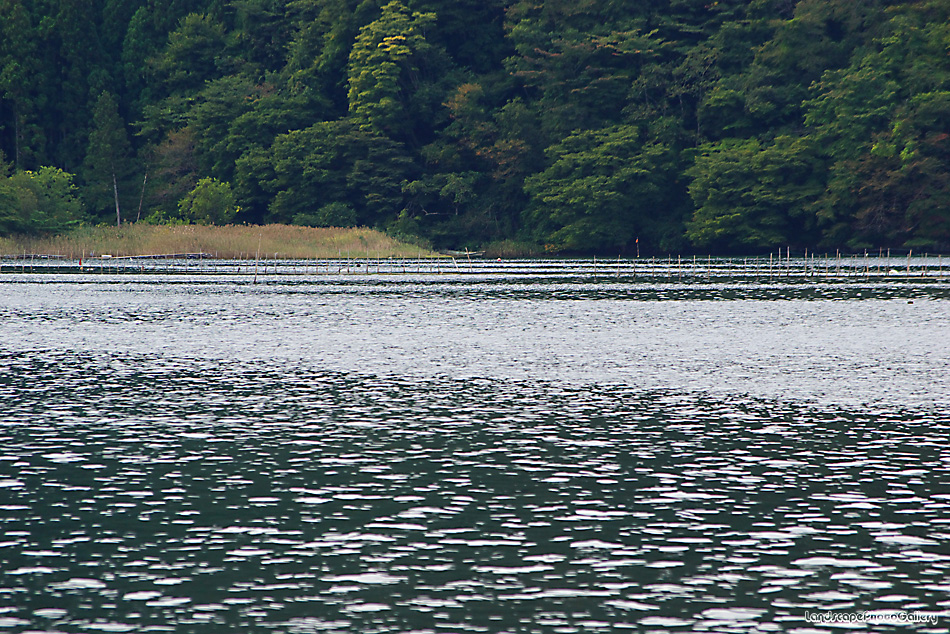 長面浦の情景