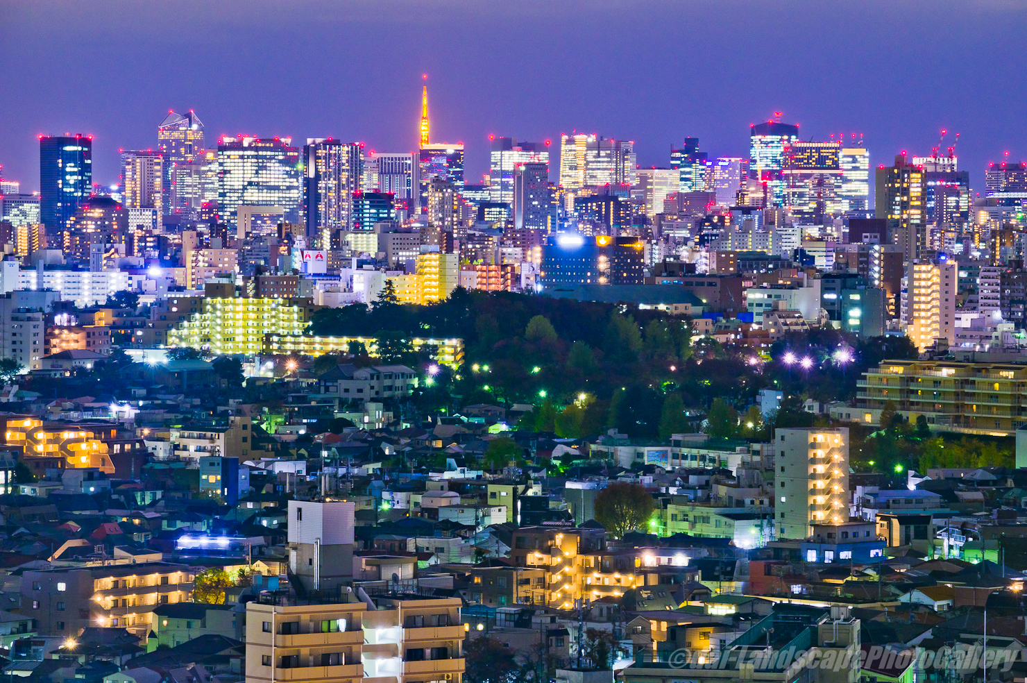 北とぴあの夜景