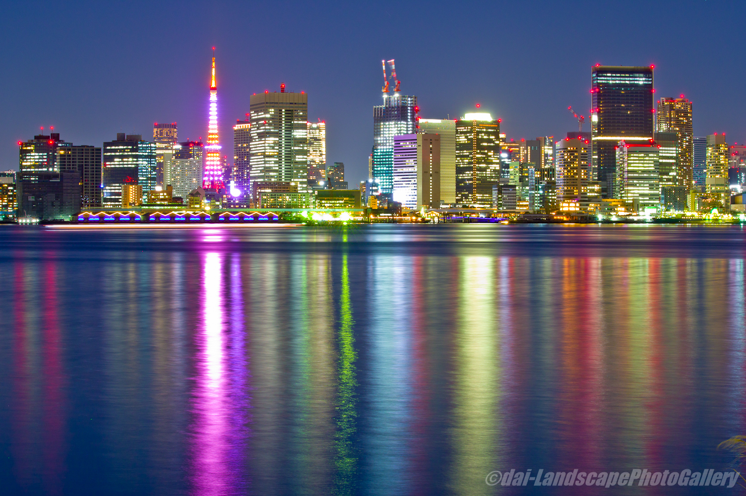 有明北緑道公園夜景