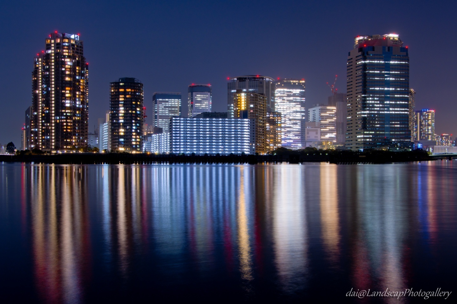 中の島公園夜景