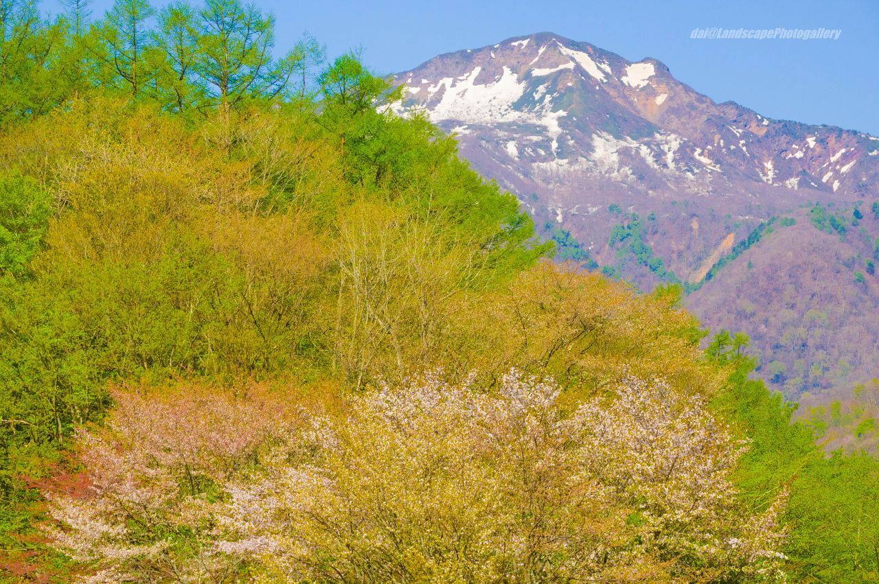 那須連山山麓 春の風景