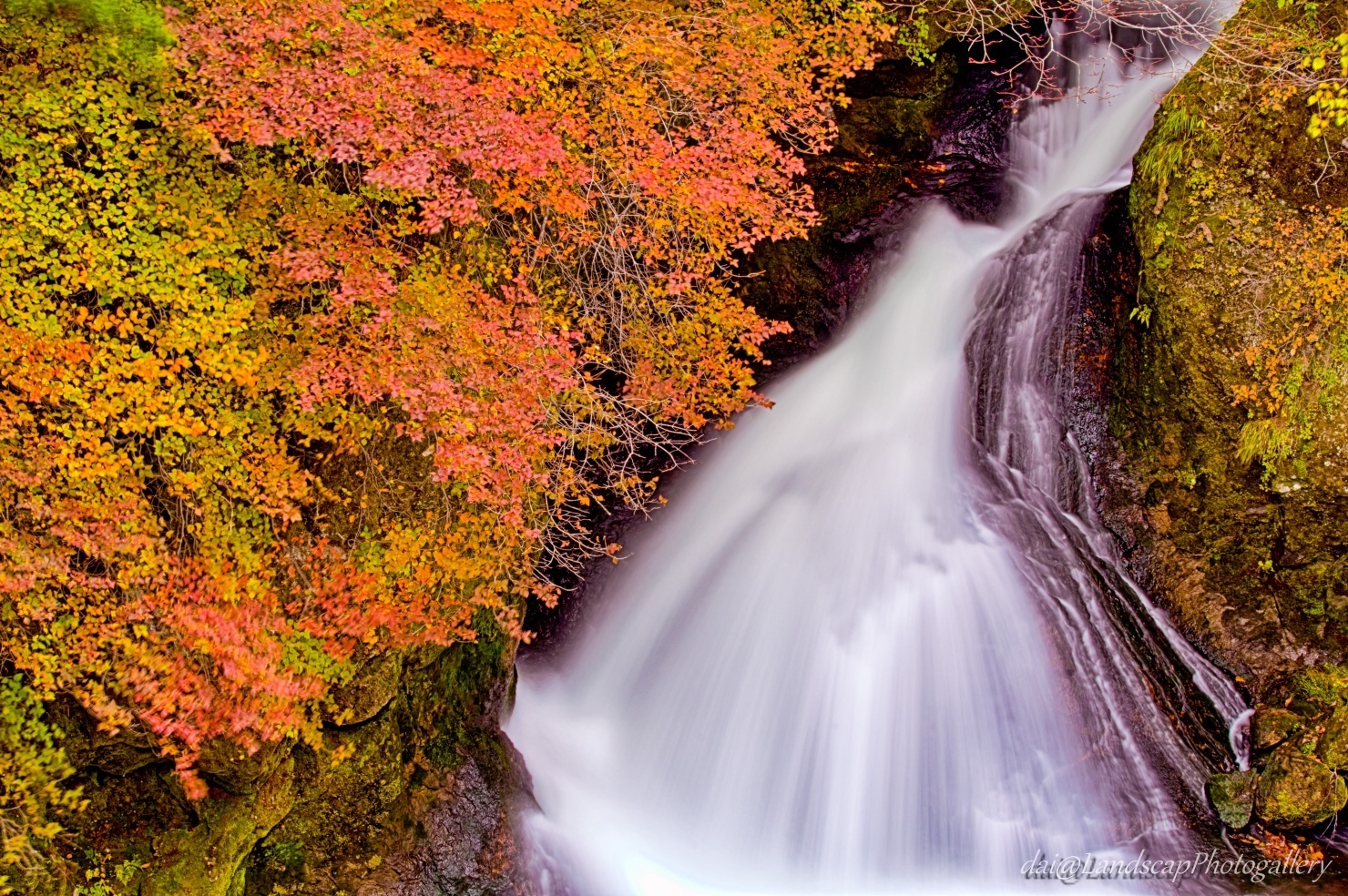 竜頭ノ滝の紅葉風景
