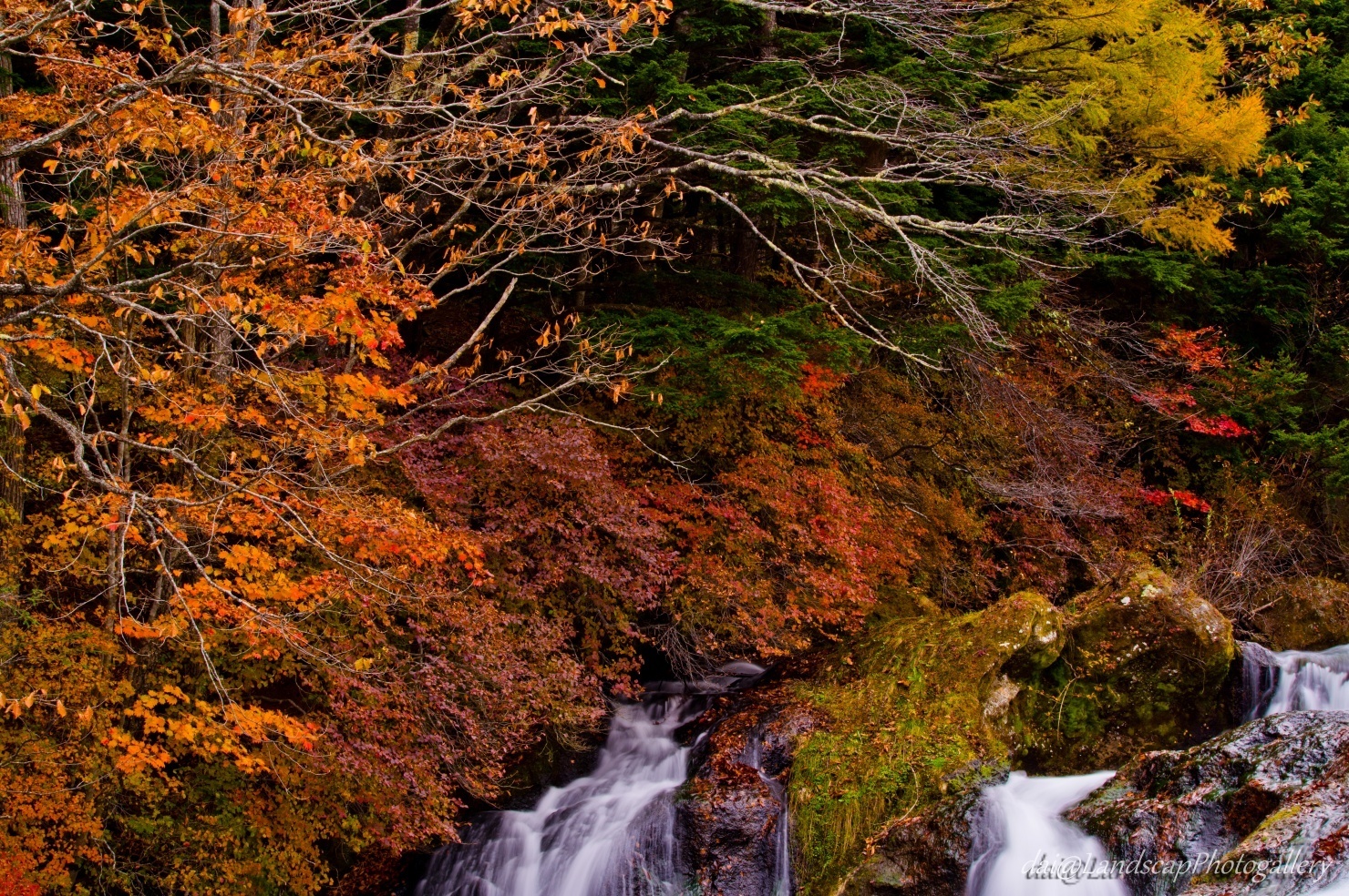 竜頭ノ滝の紅葉風景