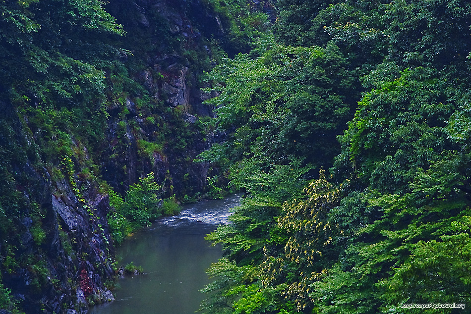 雨の奥多摩風景