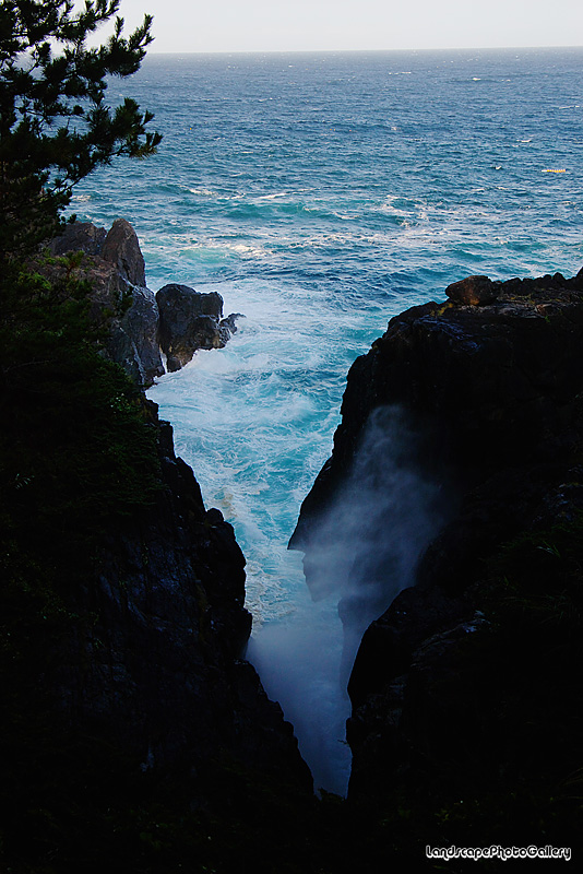 雄勝湾の風景
