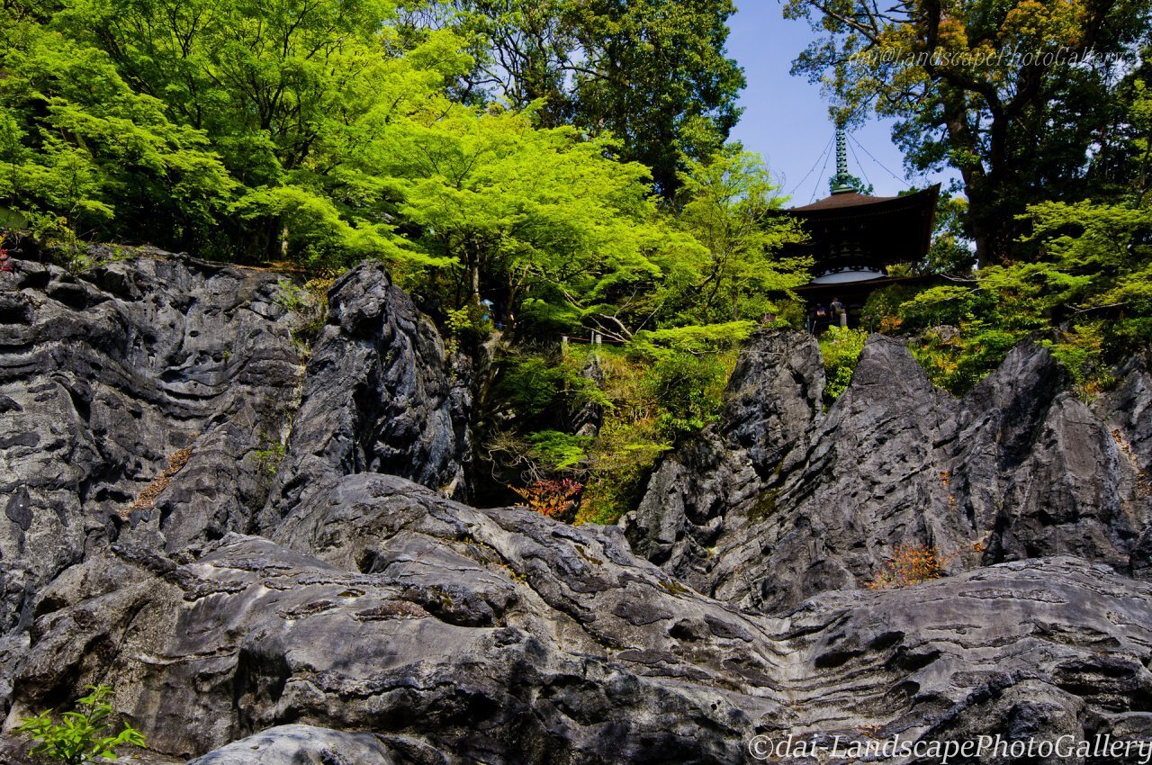 春の石山寺