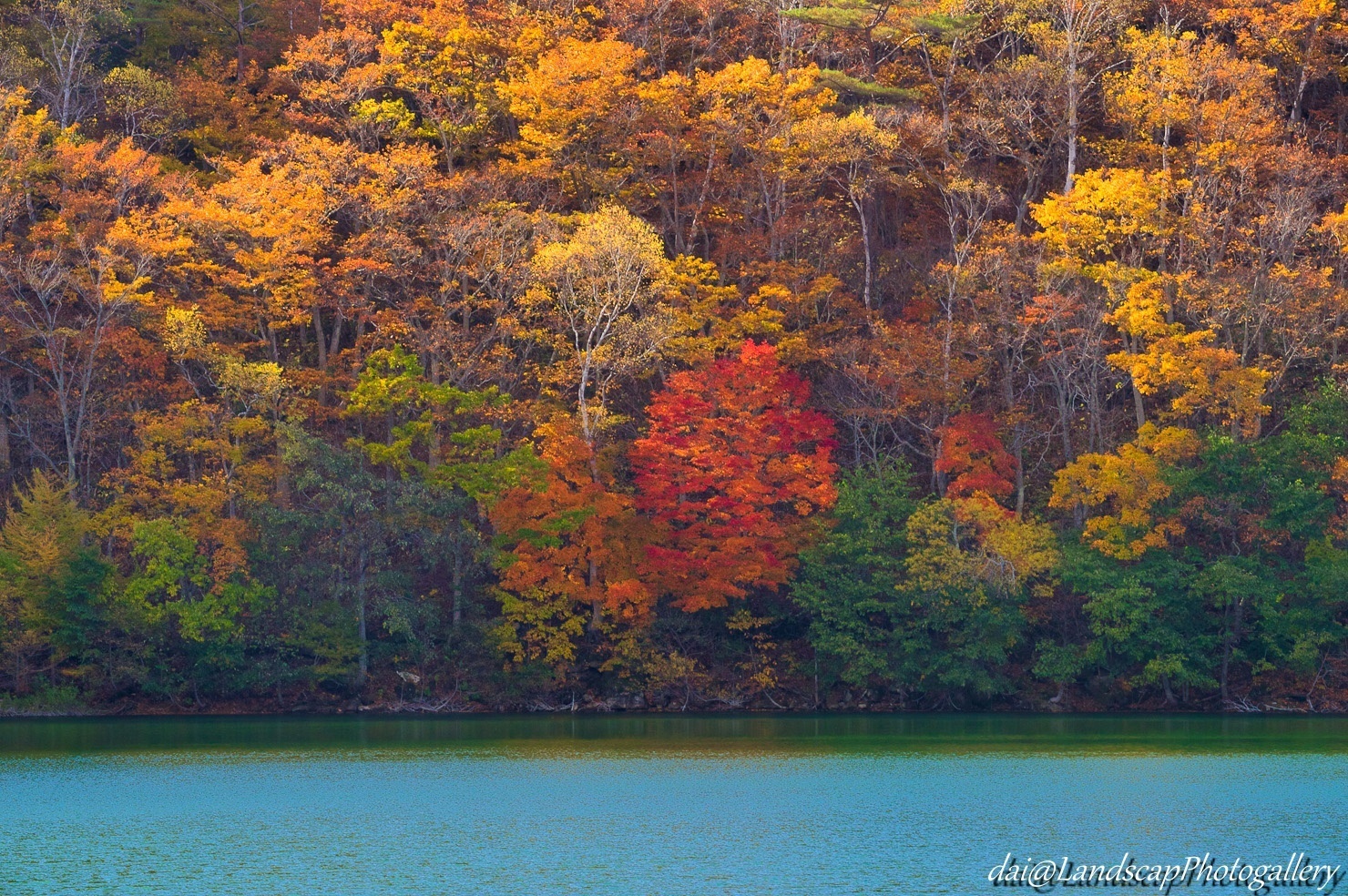 琵琶池湖畔の紅葉風景