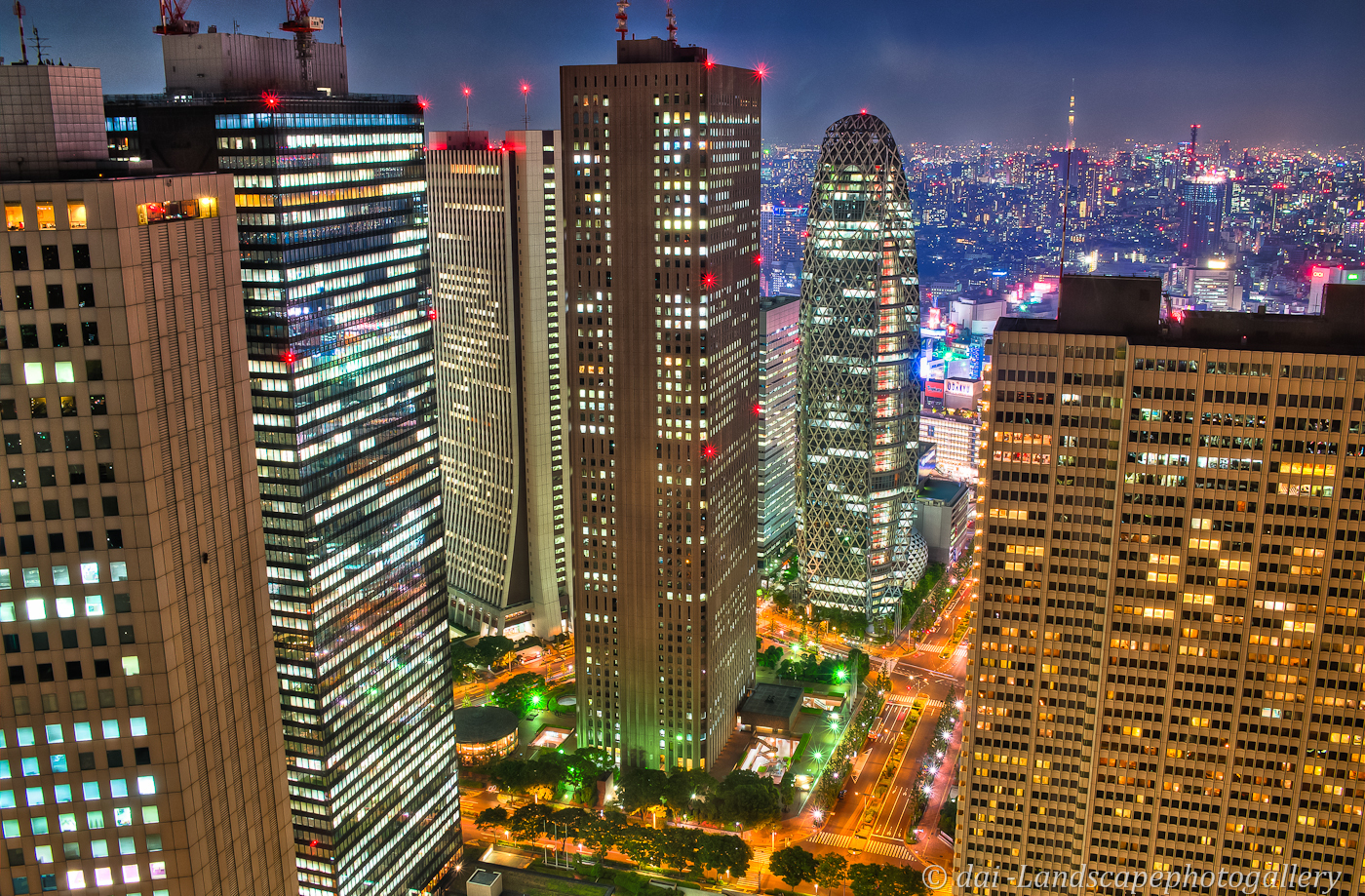 東京都庁展望室からの夜景眺望【HDRi】