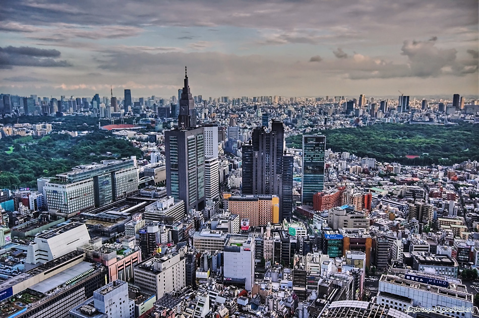 新宿センタービルからの眺望【HDRi】