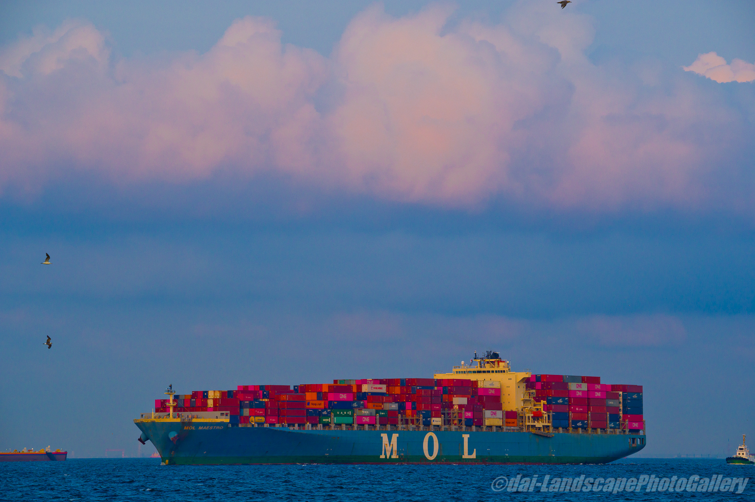 MOL MAESTRO 東京港入港風景