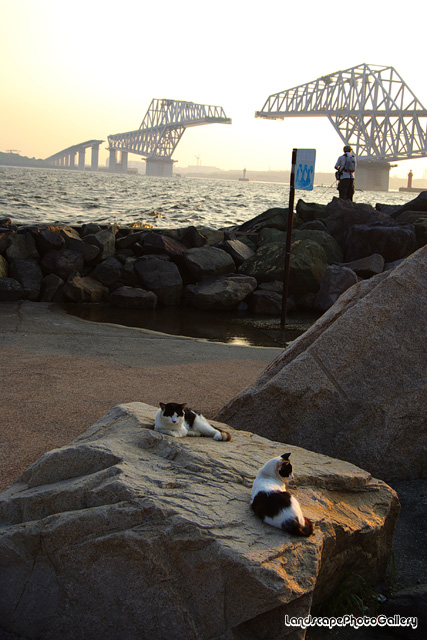 若洲海浜公園夕景1