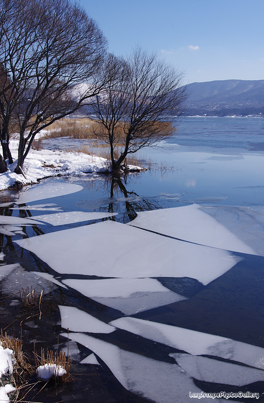 冬の山中湖