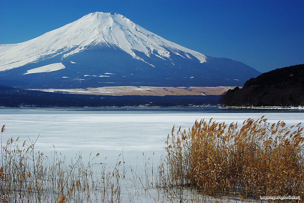 氷結の山中湖と富士山